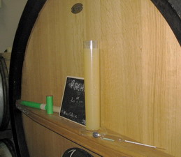 densimètre fin de fermenation - champagne 2006